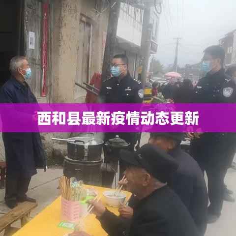 西和县最新疫情动态更新