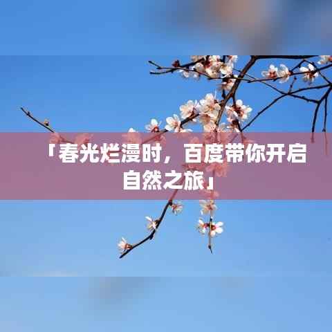 「春光烂漫时,百度带你开启自然之旅」
