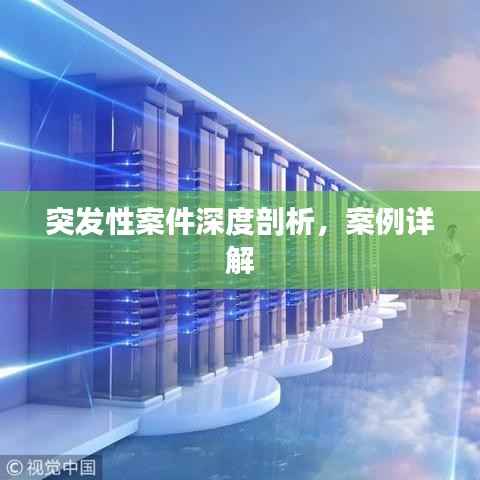 突发性案件深度剖析，案例详解