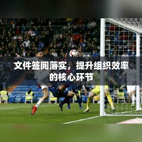 文件签阅落实，提升组织效率的核心环节