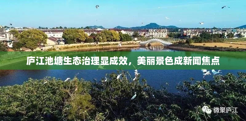 庐江池塘生态治理显成效，美丽景色成新闻焦点