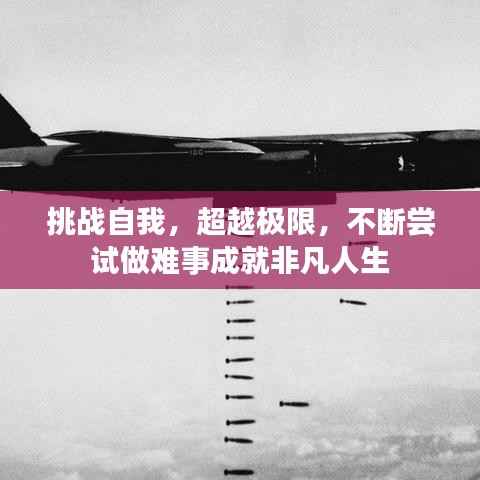 鸟啼花落 第4页