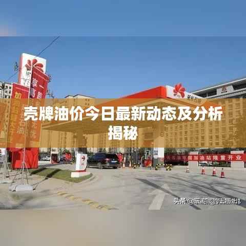 壳牌油价今日最新动态及分析揭秘