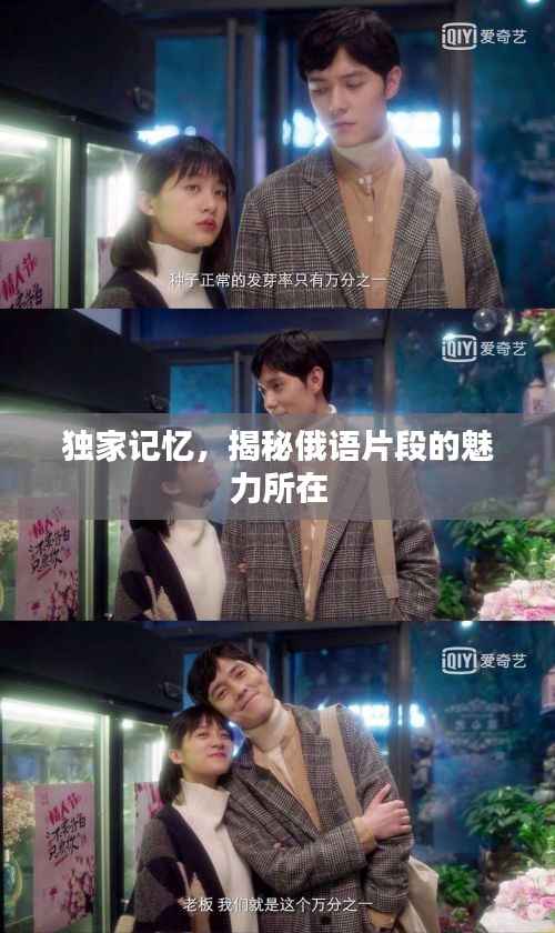 独家记忆，揭秘俄语片段的魅力所在