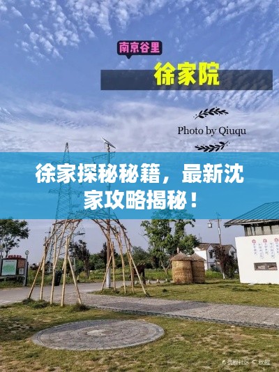 徐家探秘秘籍，最新沈家攻略揭秘！