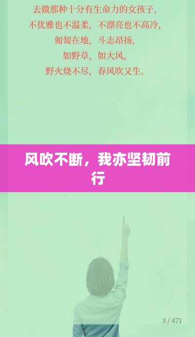 风吹不断，我亦坚韧前行