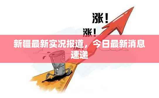 新疆最新实况报道，今日最新消息速递