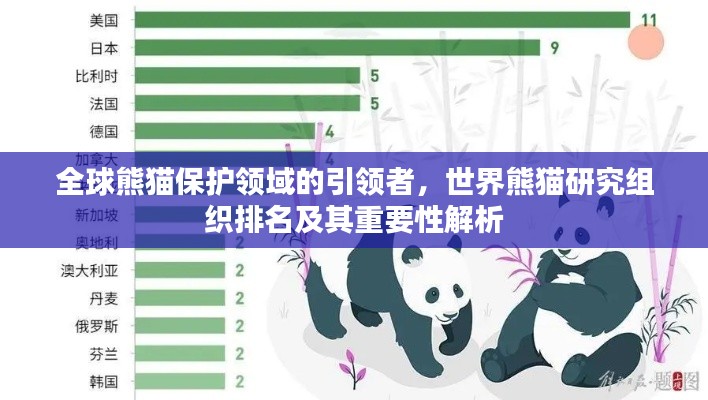 全球熊猫保护领域的引领者，世界熊猫研究组织排名及其重要性解析