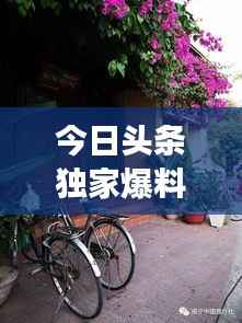 今日头条独家爆料，魏明亮最新动态揭秘