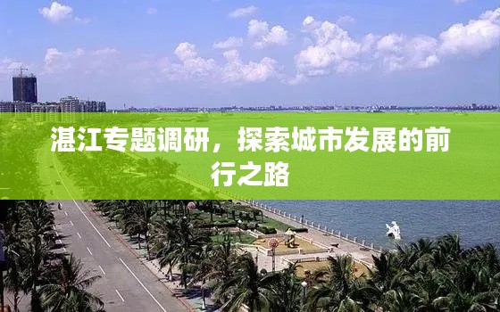 湛江专题调研，探索城市发展的前行之路