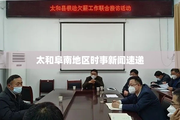 太和阜南地区时事新闻速递