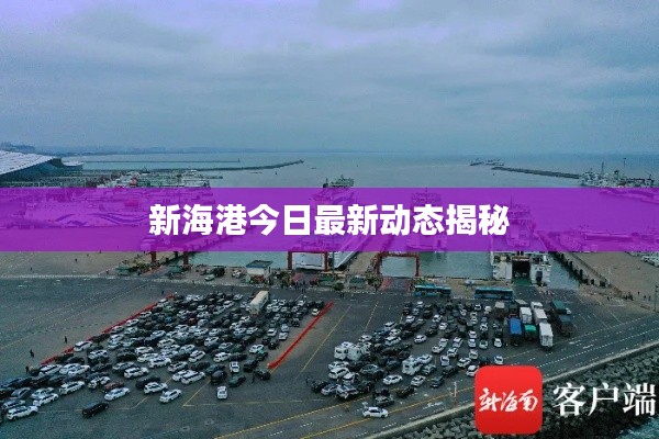新海港今日最新动态揭秘