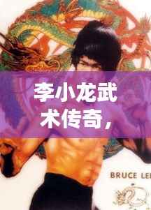 李小龙武术传奇，世界拳击排名揭秘