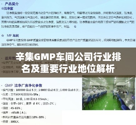 辛集GMP车间公司行业排名及重要行业地位解析