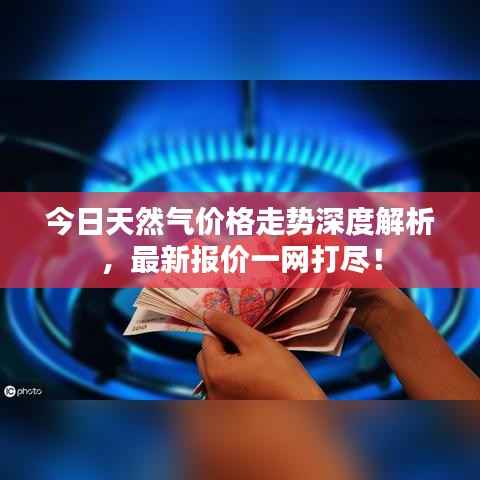 今日天然气价格走势深度解析，最新报价一网打尽！