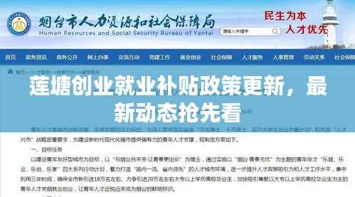 莲塘创业就业补贴政策更新，最新动态抢先看