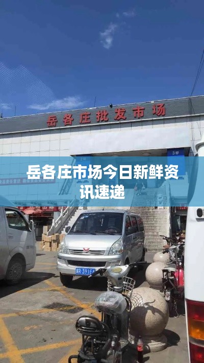 岳各庄市场今日新鲜资讯速递