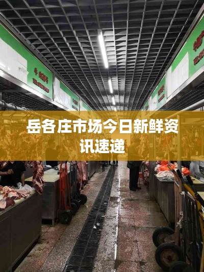 岳各庄市场今日新鲜资讯速递