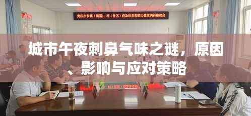 城市午夜刺鼻气味之谜，原因、影响与应对策略
