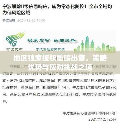 地区独家授权重磅出售，策略优势与应对挑战之道