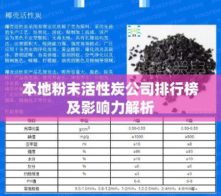 本地粉末活性炭公司排行榜及影响力解析