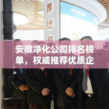 安徽净化公司排名榜单，权威推荐优质企业！