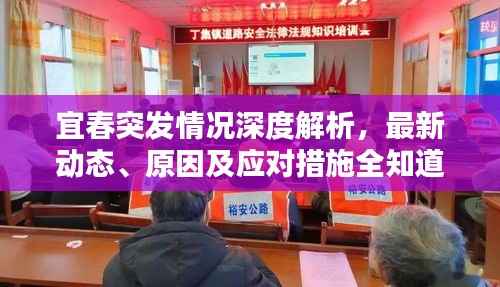 宜春突发情况深度解析，最新动态、原因及应对措施全知道