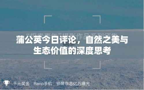 蒲公英今日评论，自然之美与生态价值的深度思考