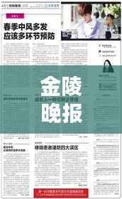 金陵晚报独家爆料，最新消息揭秘！
