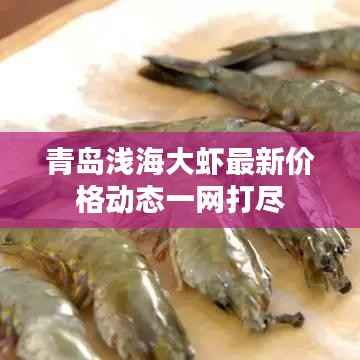 青岛浅海大虾最新价格动态一网打尽