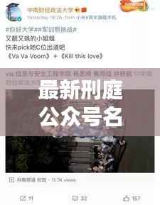 最新刑庭公众号名称集合，法律资讯尽收眼底