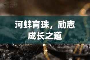 河蚌育珠，励志成长之道