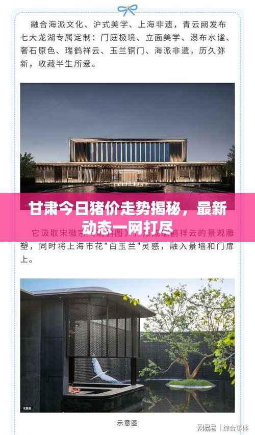 甘肃今日猪价走势揭秘，最新动态一网打尽