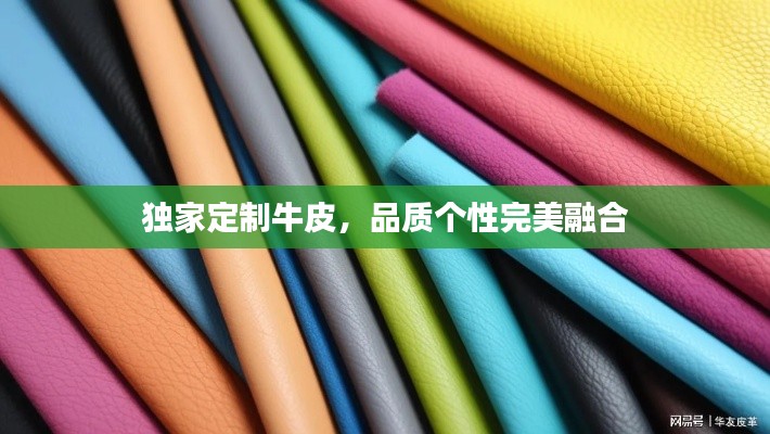 独家定制牛皮，品质个性完美融合