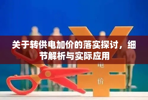关于转供电加价的落实探讨，细节解析与实际应用