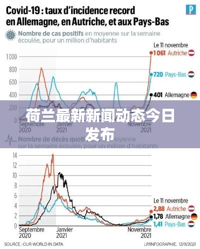荷兰最新新闻动态今日发布