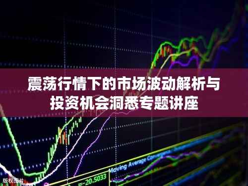 震荡行情下的市场波动解析与投资机会洞悉专题讲座