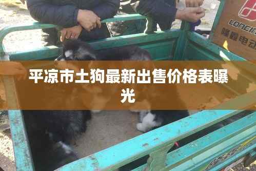 平凉市土狗最新出售价格表曝光