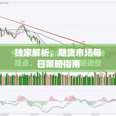 独家解析，期货市场每日策略指南