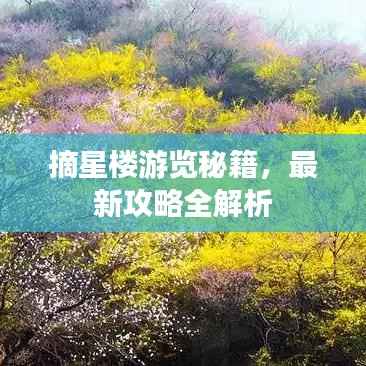 摘星楼游览秘籍，最新攻略全解析