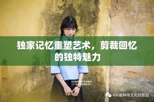 独家记忆重塑艺术，剪裁回忆的独特魅力