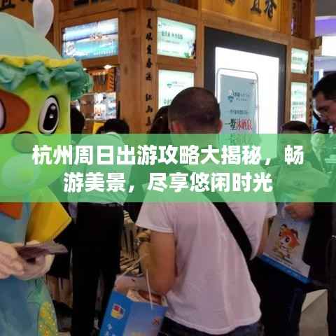 杭州周日出游攻略大揭秘，畅游美景，尽享悠闲时光