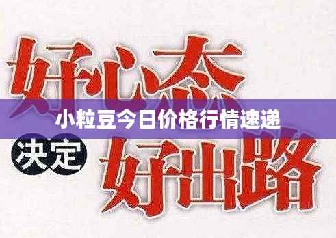 小粒豆今日价格行情速递