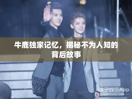 牛鹿独家记忆，揭秘不为人知的背后故事