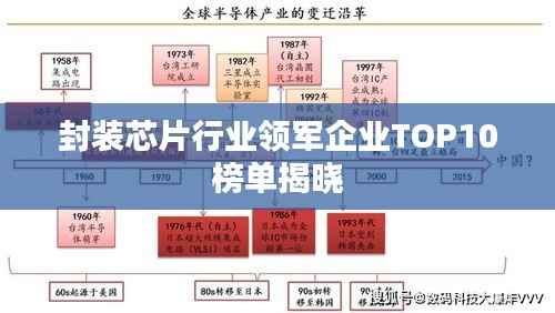 笨鸟先飞 第4页