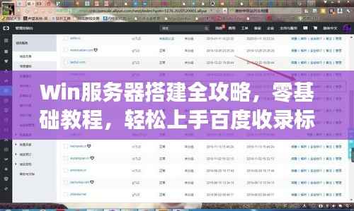 Win服务器搭建全攻略，零基础教程，轻松上手百度收录标准