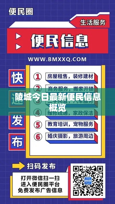 陵城今日最新便民信息概览