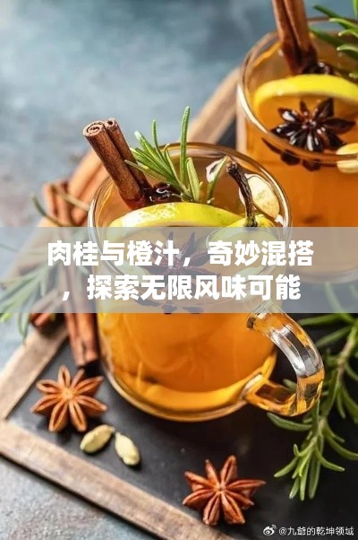 肉桂与橙汁,奇妙混搭,探索无限风味可能