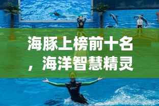 海豚上榜前十名，海洋智慧精灵的魅力展现