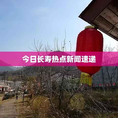 今日长寿热点新闻速递
